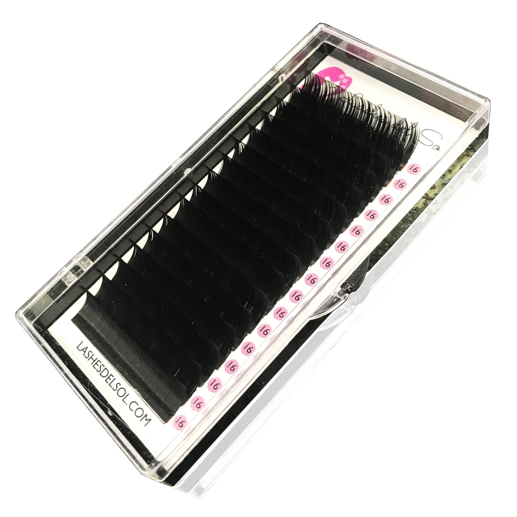 Lash Trays