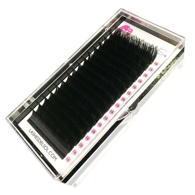 Lash Trays